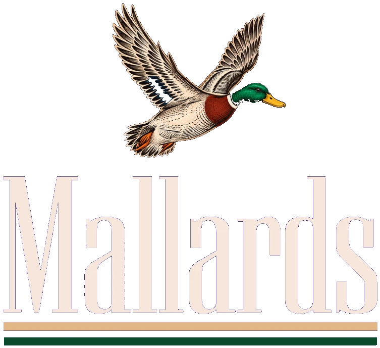 Mallards